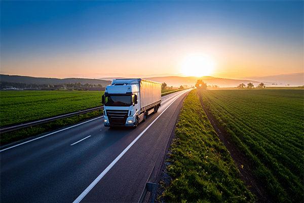 Nirva Marine Biofuels Market Insights Report